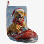 Rhodesian Ridgeback Hond in Sledge Kerstmis Kleine Kerstsok (Voorkant)