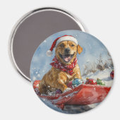 Rhodesian Ridgeback Hond in Sledge Kerstmis Magneet (Voorkant / Achterkant)