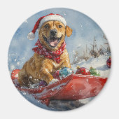 Rhodesian Ridgeback Hond in Sledge Kerstmis Magneet (Voorkant)