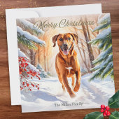 Rhodesian Ridgeback Hond In Sneeuw Vrolijk Kerstfe Feestdagenkaart