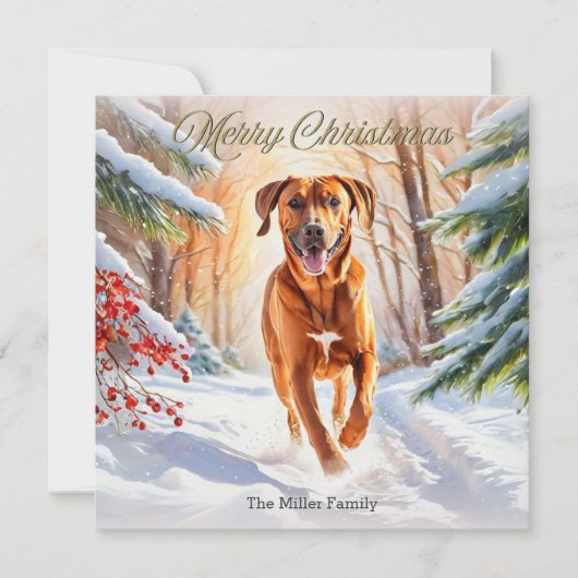 Rhodesian Ridgeback Hond In Sneeuw Vrolijk Kerstfe Feestdagenkaart (Voorkant)