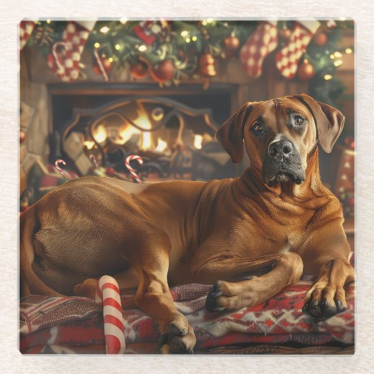 Rhodesian Ridgeback Hond Kerst Feestelijk Glazen Onderzetter (Voorkant)