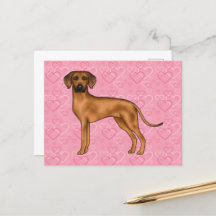 Rhodesian Ridgeback Hond Liefde Hart Patroon Roze