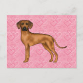 Rhodesian Ridgeback Hond Liefde Hart Patroon Roze Briefkaart (Voorkant)