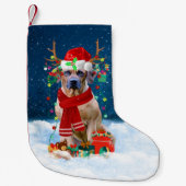 Rhodesian Ridgeback hond met kerstcadeaus Kleine Kerstsok (Voorkant)