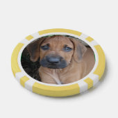 RHODESIAN RIDGEBACK Hond Pet Ras Puppy POKER CHIP (Enkel)