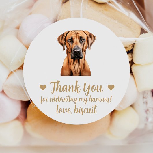 Rhodesian Ridgeback-hond trouwgunststickers Ronde Sticker