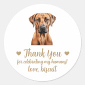 Rhodesian Ridgeback-hond trouwgunststickers Ronde Sticker (Voorkant)