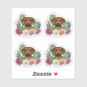 Rhodesian Ridgeback Hondenkop en Kleurrijke Bloeme Sticker