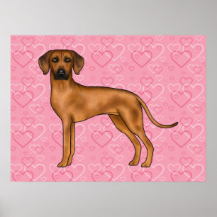 Rhodesian Ridgeback Hondenliefde Hartpatroon Roze Poster