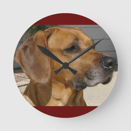 RHODESIAN RIDGEBACK Hondenras Pet Ronde Klok (Voorkant)