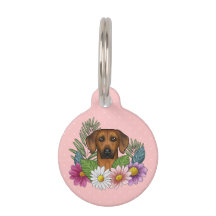 Rhodesian Ridgeback Hoofd Kleurrijke Bloemen Op Ro