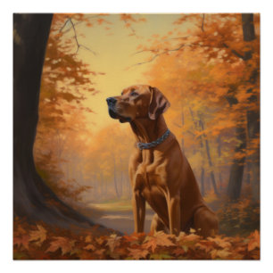 Rhodesian Ridgeback  in Herfstbladeren vallen Insp Perfect Poster
