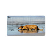 Rhodesian Ridgeback - Is het water koud? Etiket (Voorkant)