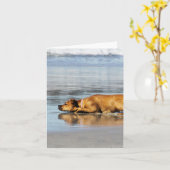 Rhodesian Ridgeback - is het Water Koude? Kaart (Gele Bloem)