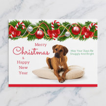 Rhodesian Ridgeback Kerstkaart
