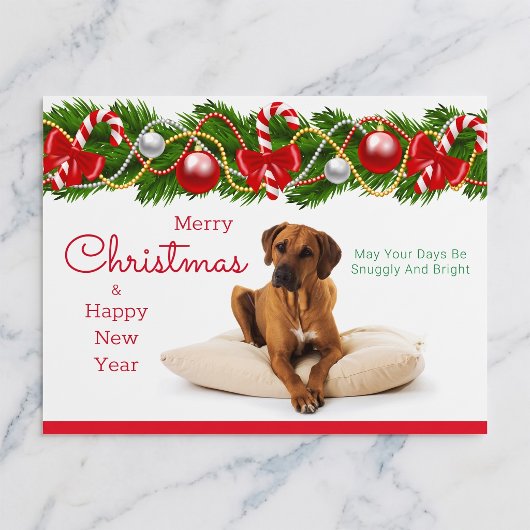 Rhodesian Ridgeback Kerstkaart Feestdagenkaart