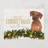 Rhodesian Ridgeback Kerstkaart Feestdagenkaart (Voorkant)