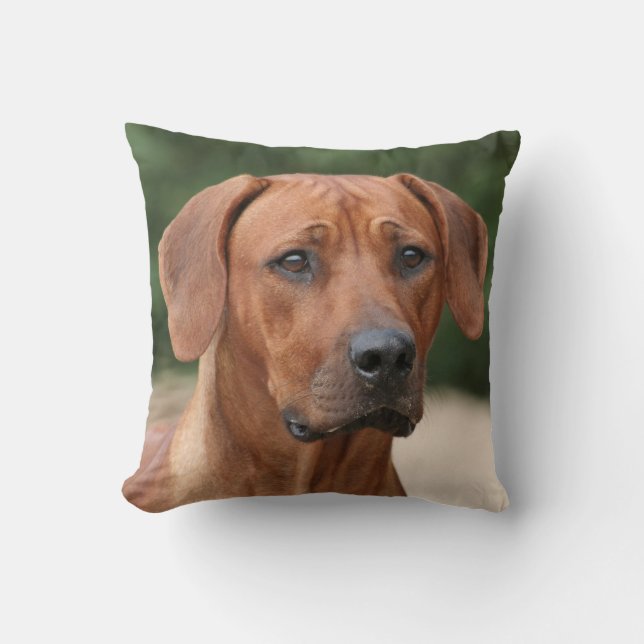Rhodesian Ridgeback kussen (Voorkant)