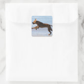 Rhodesian Ridgeback - Leap Vierkante Sticker (Tas)