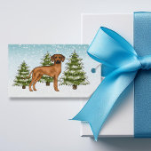 Rhodesian Ridgeback Leeuw Hond Sneeuwachtig Winter Cadeaulabel