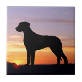 Rhodesian Ridgeback Luminescent Silhouette Tegeltje