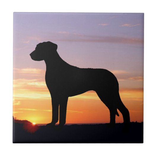 Rhodesian Ridgeback Luminescent Silhouette Tegeltje (Voorkant)