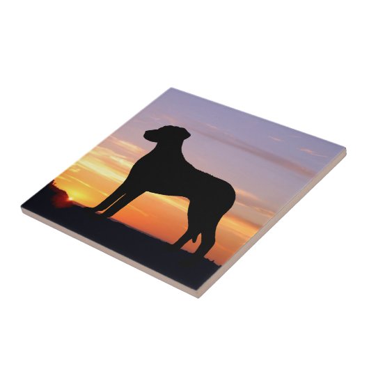 Rhodesian Ridgeback Luminescent Silhouette Tegeltje (Zijkant)