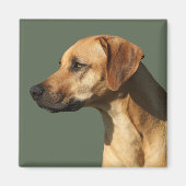 Rhodesian Ridgeback Magneet (Voorkant)