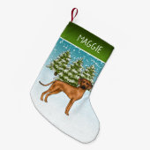 Rhodesian Ridgeback met naam Sneeuwige Winterbos Kleine Kerstsok (Voorkant (Hangend))