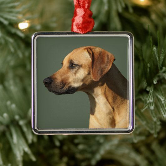 Rhodesian Ridgeback Metalen Ornament (Boom)