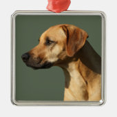 Rhodesian Ridgeback Metalen Ornament (Voorkant)