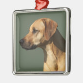 Rhodesian Ridgeback Metalen Ornament (Links)