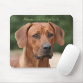 Rhodesian Ridgeback Muismat (Met muis)