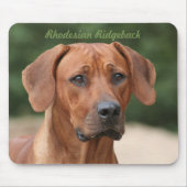Rhodesian Ridgeback Muismat (Voorkant)