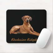 Rhodesian Ridgeback Muismat (Met muis)