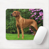 Rhodesian Ridgeback Muismat (Met muis)