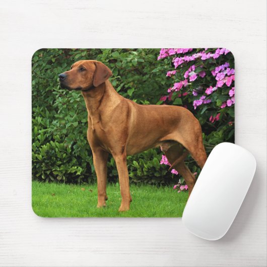 Rhodesian Ridgeback Muismat (Met muis)