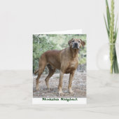 Rhodesian Ridgeback Notecards Kaart (Voorkant)