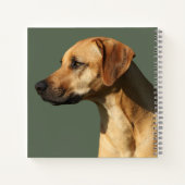 Rhodesian Ridgeback Notitieboek (Achterkant)