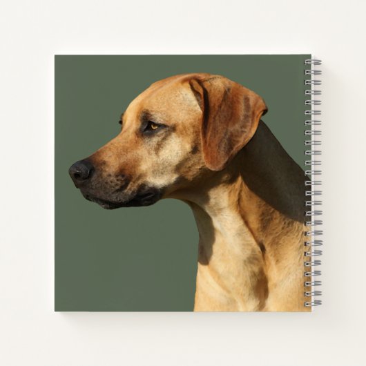 Rhodesian Ridgeback Notitieboek (Achterkant)