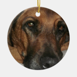 Rhodesian Ridgeback-Ornament Keramisch Ornament