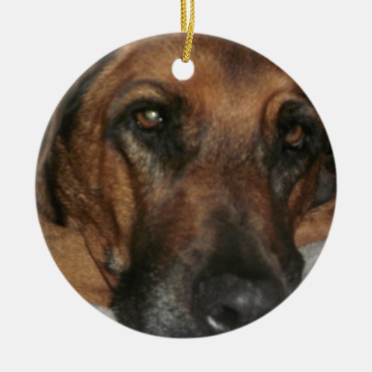 Rhodesian Ridgeback-Ornament Keramisch Ornament (Voorkant)