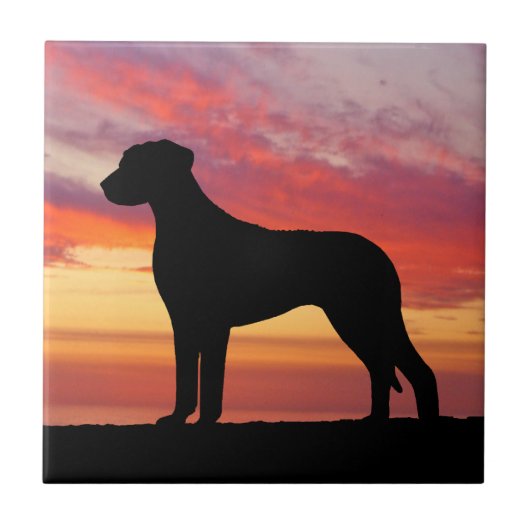 Rhodesian Ridgeback Persimmon Sunset Silhouette Tegeltje (Voorkant)