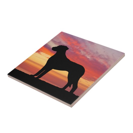 Rhodesian Ridgeback Persimmon Sunset Silhouette Tegeltje (Zijkant)