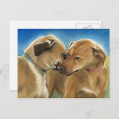 Rhodesian Ridgeback Postc Briefkaart (Voorkant / Achterkant)