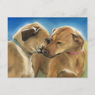 Rhodesian Ridgeback Postc Briefkaart