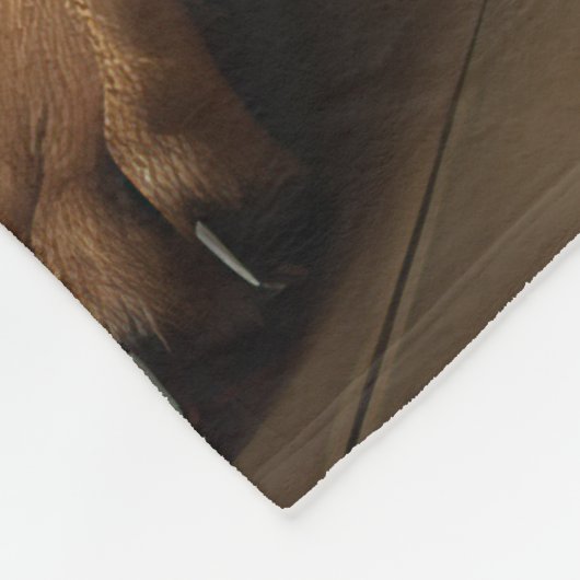 Rhodesian Ridgeback Pumpkins Halloween Scary Fleece Deken (Hoek)