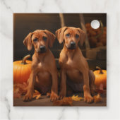 Rhodesian Ridgeback Pup Autumn Delight Pompoen Bedankjes Labels (Achterkant)