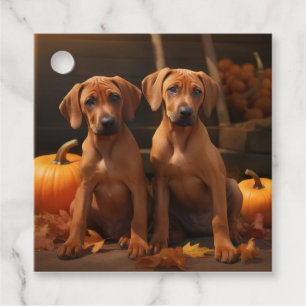 Rhodesian Ridgeback Pup Autumn Delight Pompoen  Bedankjes Labels